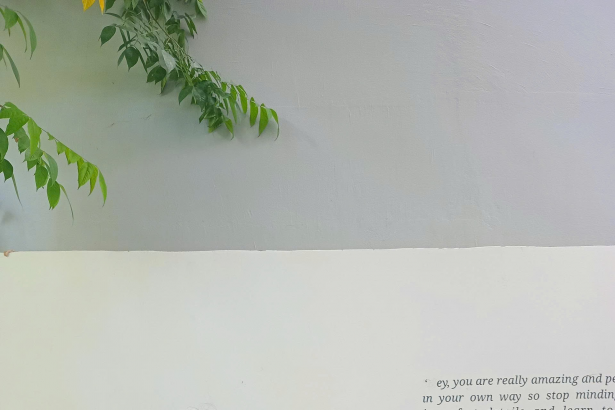 Chân dung tác giả Xuân Thảo