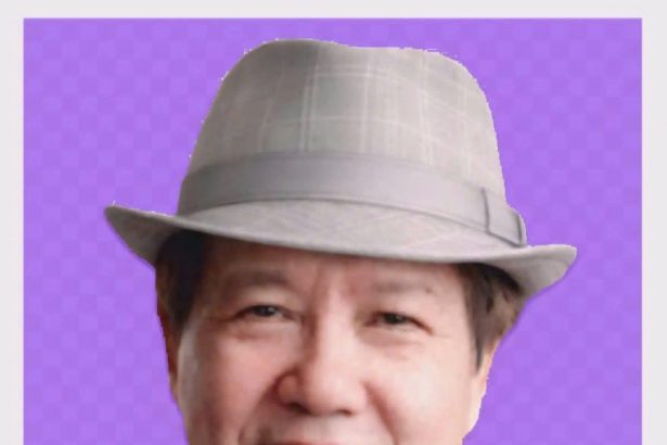 Tác giả Mai Hân Hạnh